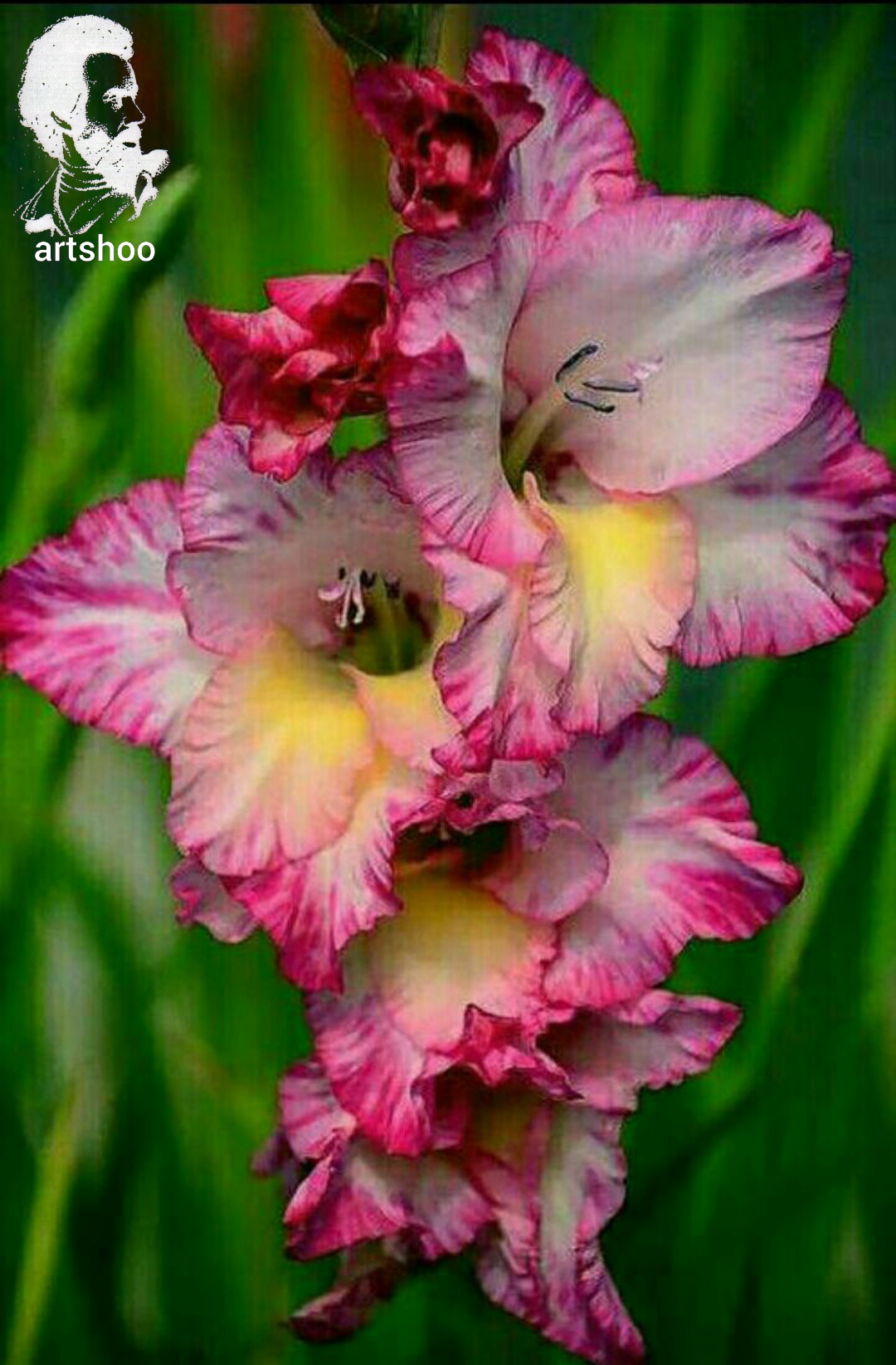 گل اورژینال رنگ روغن